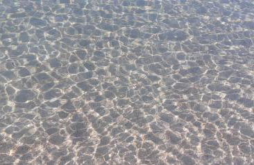 L' Isola di Bacco - Foto 7