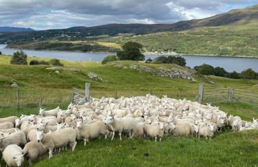 Foinaven House - Foto 21