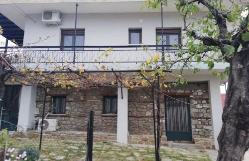 Παραδοσιακο σπιτι με εσωτερικο τζακι - Foto 10