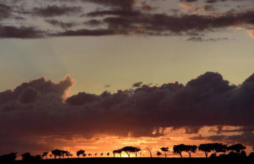 Marktquartier - Foto 22