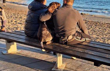 Casa Daiva - Foto 25