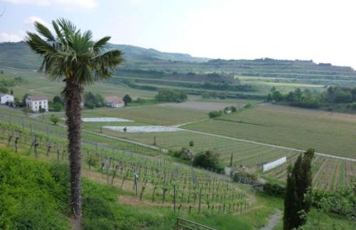 Bianca's Kaiserstuhl - Photo 5