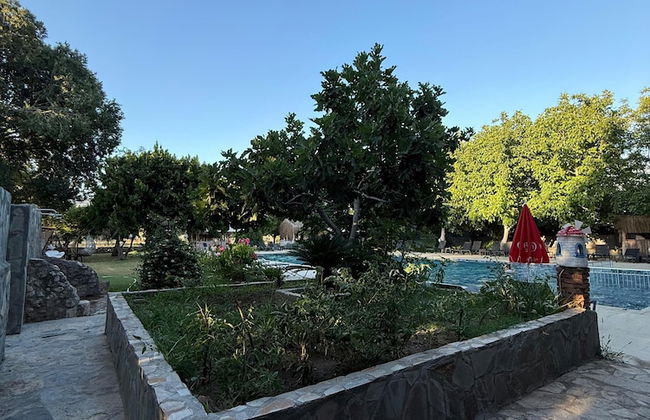 Olsen Hotels - Foto 8