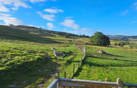 Mill House with Hot Tub - Foto 50