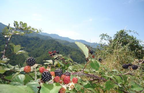Agriturismo I Monti di Salecchio - Foto 30