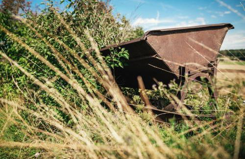 Haus Archaeopteryx – privater Außen-Pool – einzigartig im Naturpark - Foto 16