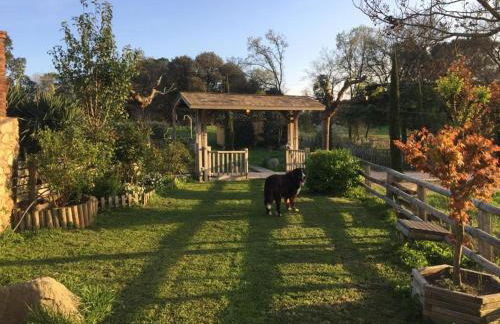 Más Figueres - Foto 33