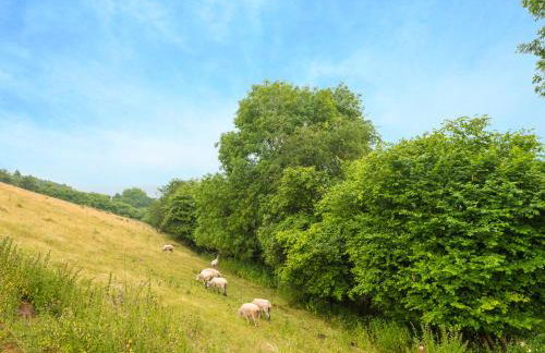Bishop's Castle Barn - Foto 32