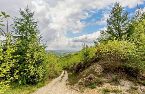 3 Bed in Cilycwm BN093 - Photo 27
