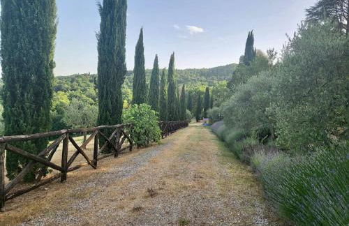 Luxury 1-bedroom house with the pool in Tuscany. - Foto 28