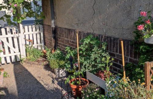 Ruhrpott-Paradies - Foto 6