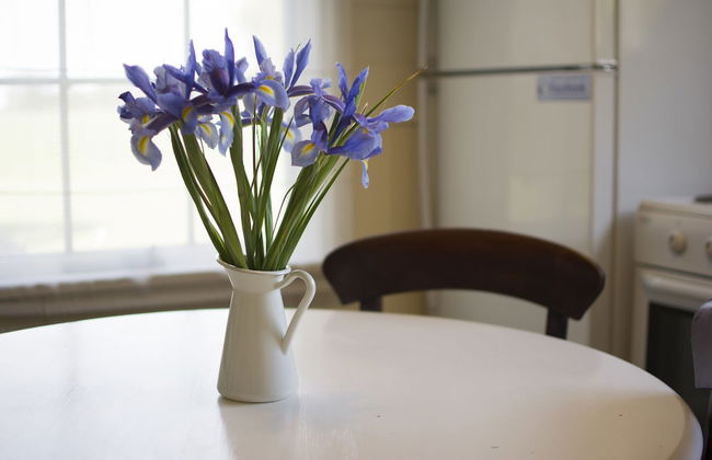 Freshwater Creek Cottages and Farm Stay - Foto 2