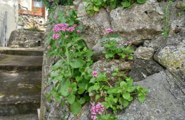 Autenticum Agriturismo Tolfa - Foto 46