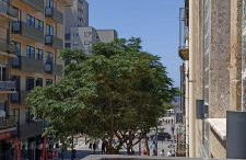 19 Nineteen Suites - Espinho - Foto 28