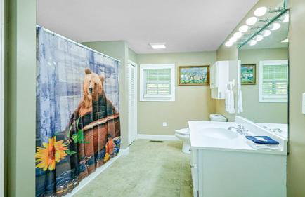 Bear Splashin Fun - Photo 16