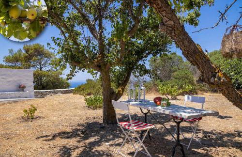 Syros - Cycladic Stone House - Foto 64