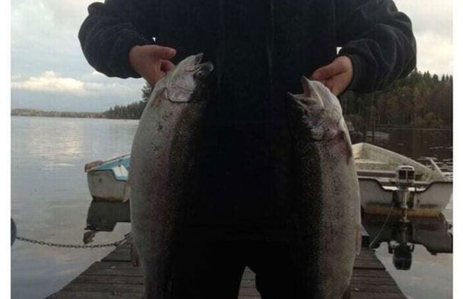 Holiday Home Hus Rusken - Foto 14