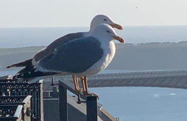 MODERNO PISO CON LA MEJOR TERRAZA DE RIBADEO Y VISTAS MARAVILLOSAS - Foto 32