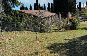 Agriturismo i Merli - Foto 15