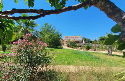 Villa Velo - Foto 10