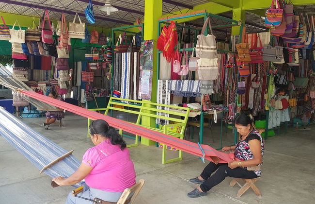 Tour des villages d'Oaxaca : San Martín Tilcajete, Teotitlán del Valle et Santa Maria el Tule - Photo 7