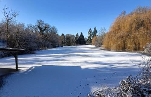 GÎTE "LES GRANGES D'ANTAN" - La FORGE - - Photo 43