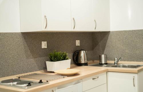 Apartamenty GoszóWita - Foto 10