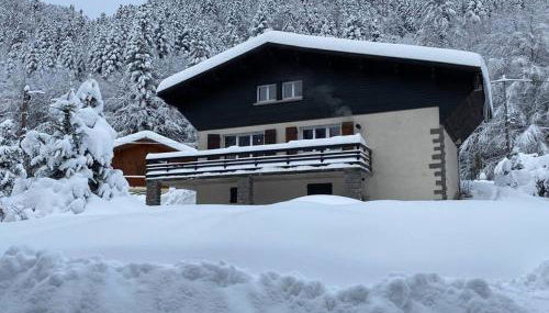 CHALET DES HAUTS SAPINS LA BRESSE - Photo 3