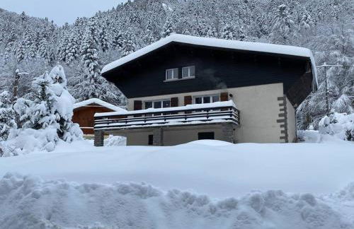 CHALET DES HAUTS SAPINS LA BRESSE - Photo 3