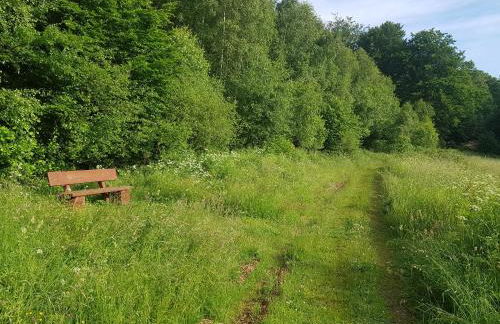 ferienwohnungen.ruhla - Foto 18