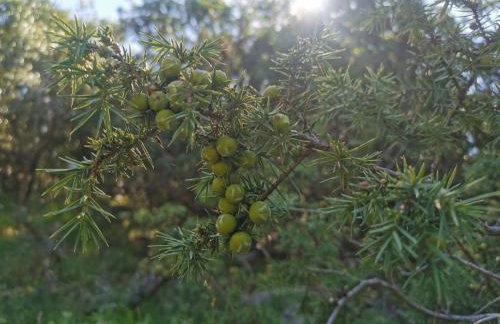 Guesthouse Stivan (920) - Foto 50