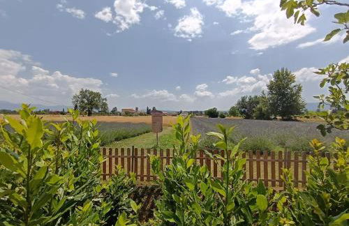 L'Antico Fienile - Foto 43