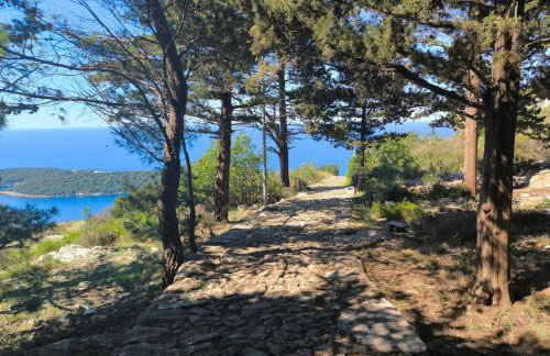 Apartments D&D - Foto 22