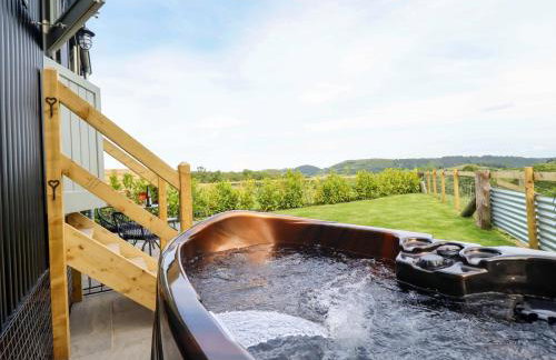 Charollais - Foto 12