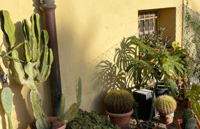 Chez Milly - Foto 16