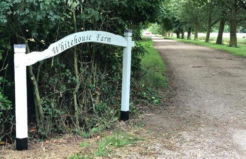 Cherry Trees - Photo 9