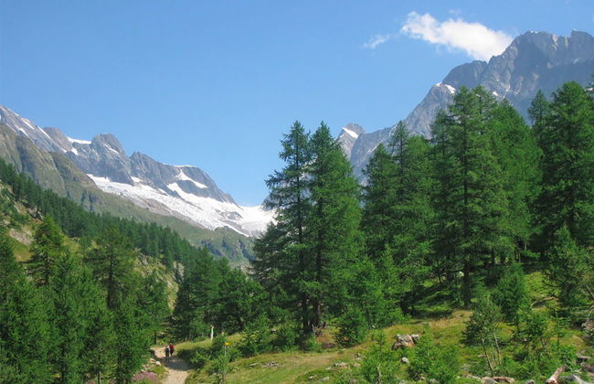 Chalet Eden - Foto 40