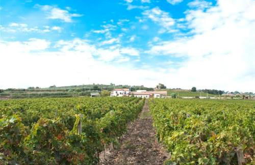 Relais I Dolci Grappoli - Foto 37