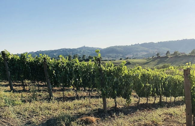 Agriturismo Poggio del Drago - Photo 27