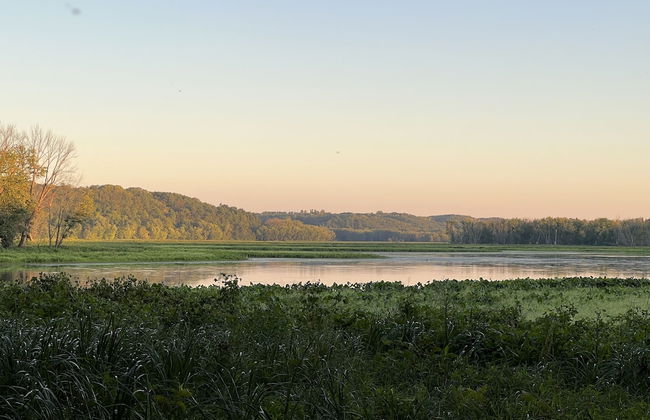 Somerset - Estate - Photo 51