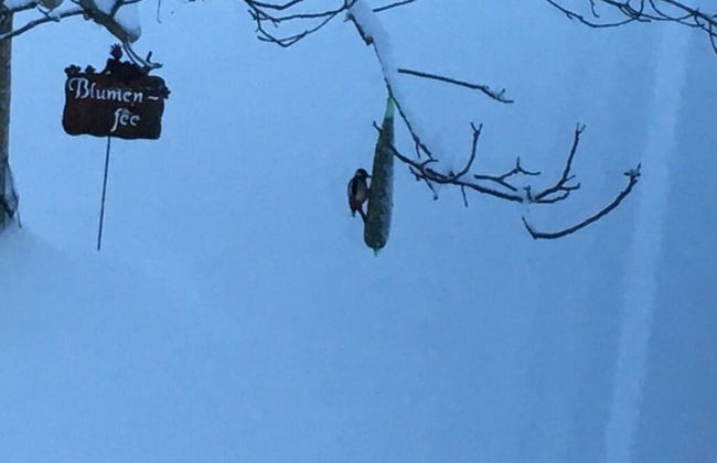 Nice Apartment in Bonndorf im Schwarzwald - Foto 8