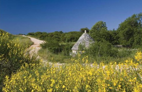 Holiday Home Badnjevari Vi - Foto 21