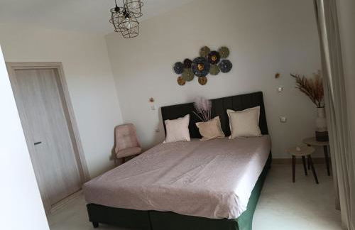 VAYAL SKYROS - Photo 17