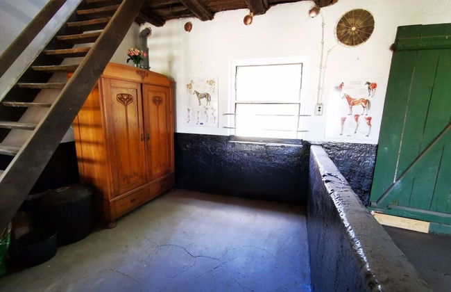 Sophienhof Lieselotte - Foto 24