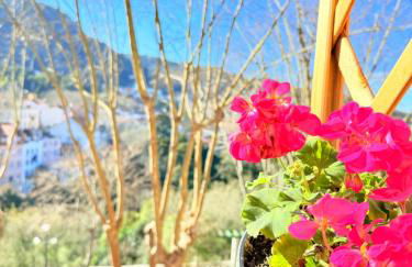 Sintra Mountview Retreat - Foto 20