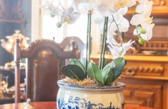 Classic Central Memphis Four Bedroom Home - Foto 49