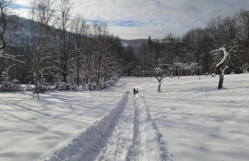 Osada Jelonki Wielka Puszcza - Foto 67