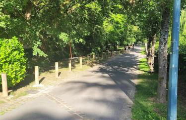 Frida's house - Foto 22