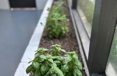 Alfred St Air BNB - Foto 17