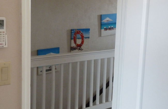 Taste of Paradise - Foto 23